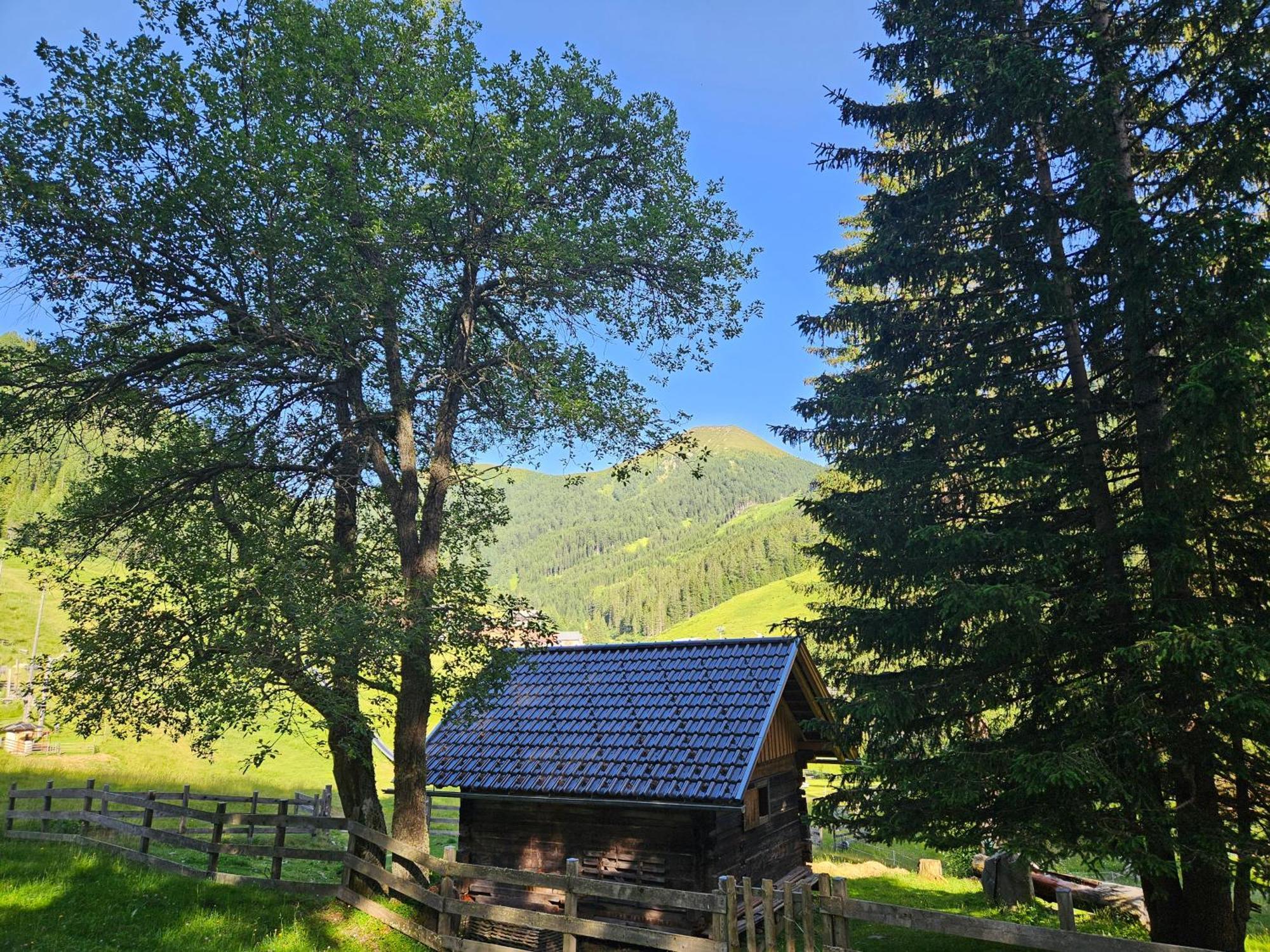 Kinder- Und Familienhotel Nockalm Іннеркремс Екстер'єр фото